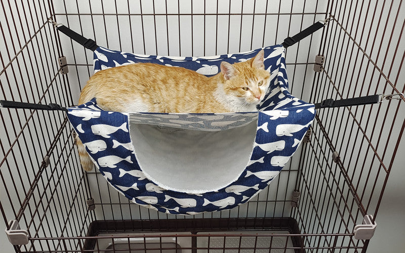 Source manufacturers pet supplies cat cage hammock cat nest cat house cross-border pet supplies pet hanging basket
